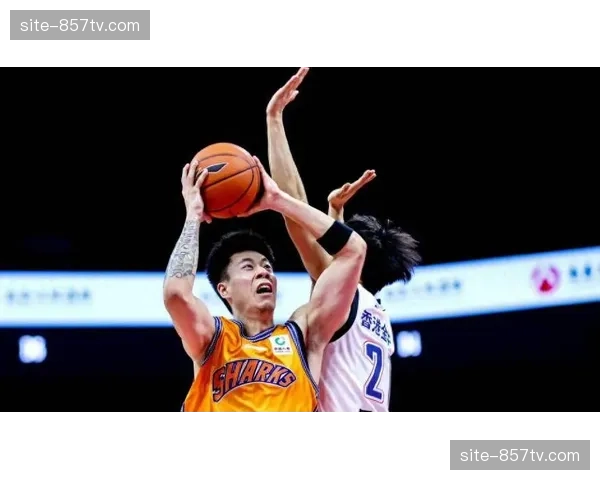 上海张镇麟单场5次抢断 防守压迫制造转换进攻机会